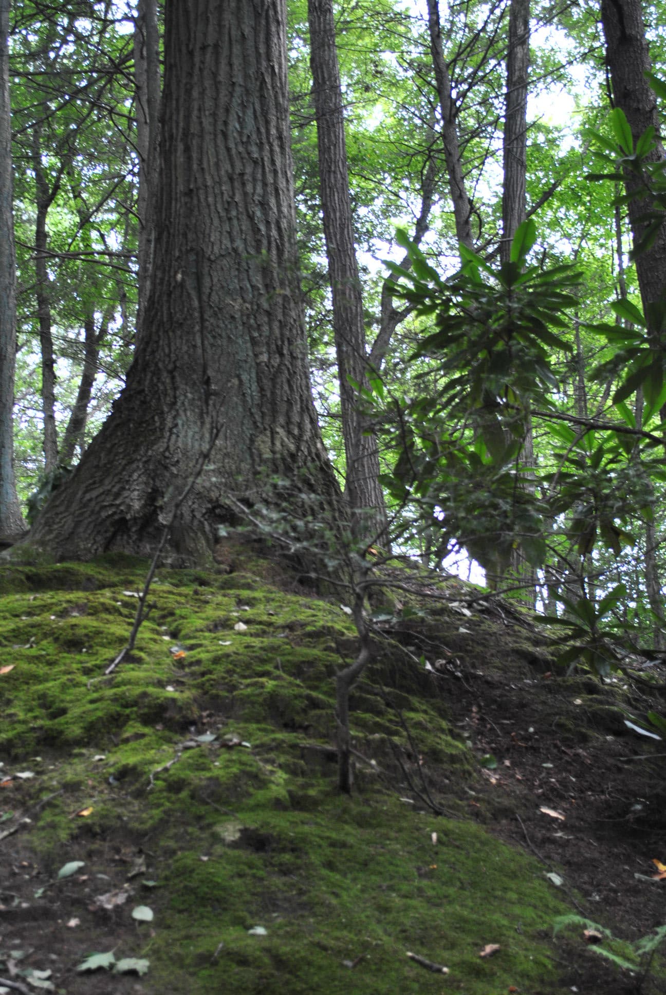 Glen Park - Stroudsburg, PA