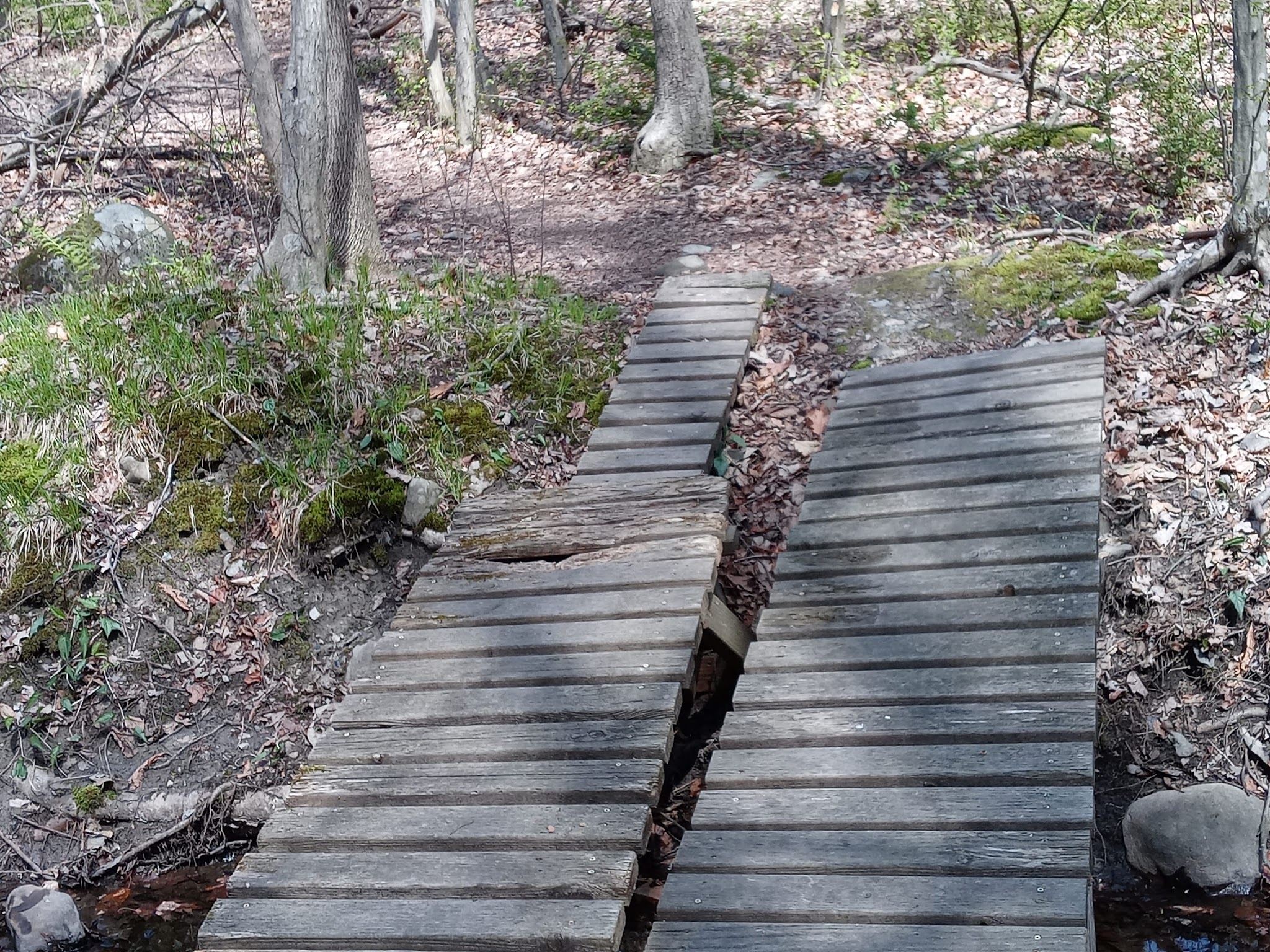 Glen Run Nature Preserve - Stroudsburg, PA