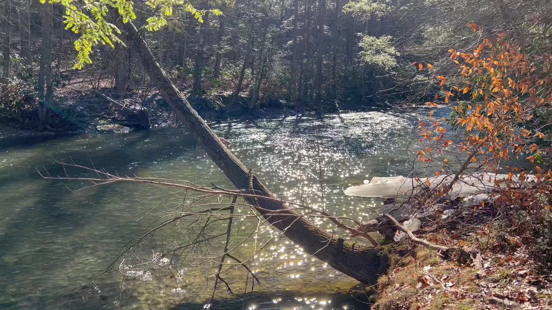 Hickory Valley Park - Stroudsburg, PA