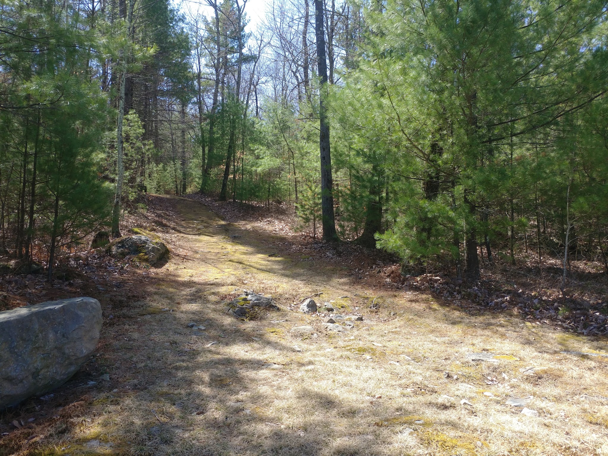 HJP Dog Park - Stroudsburg, PA