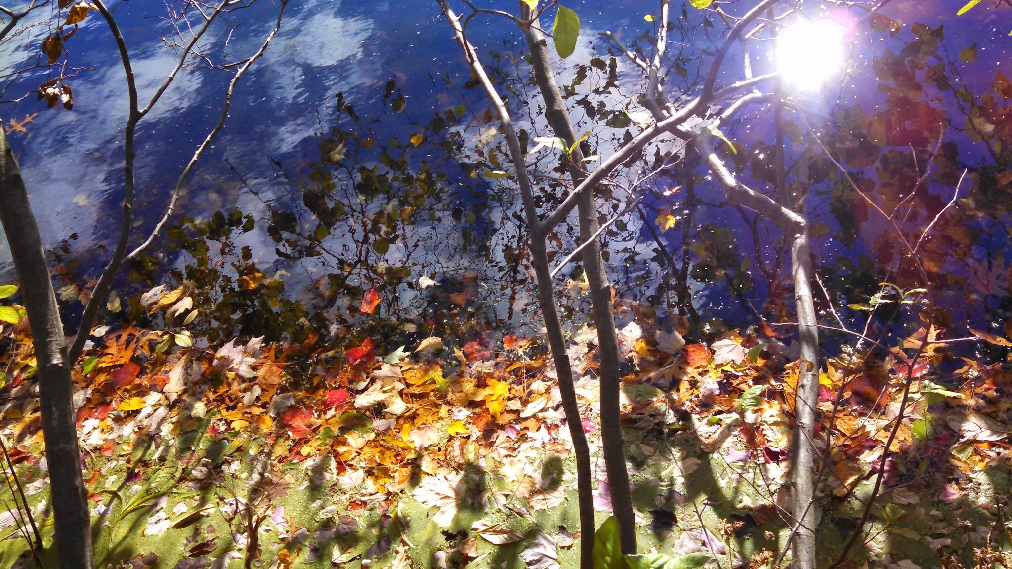 Katz Park - Stroudsburg, PA