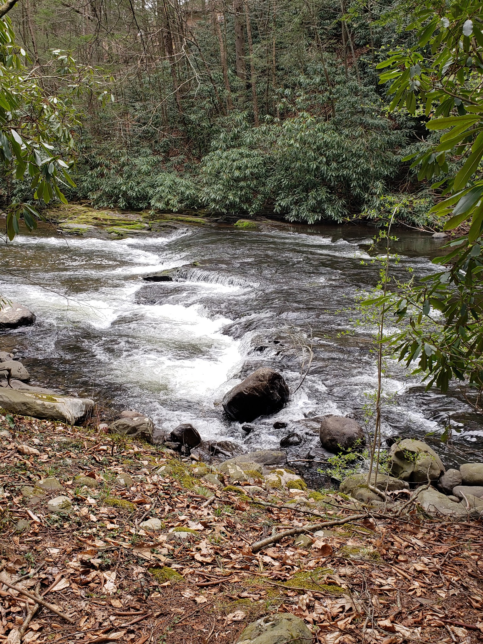 Rail Gap Pocono Creek Nature Preserve - Stroudsburg, PA