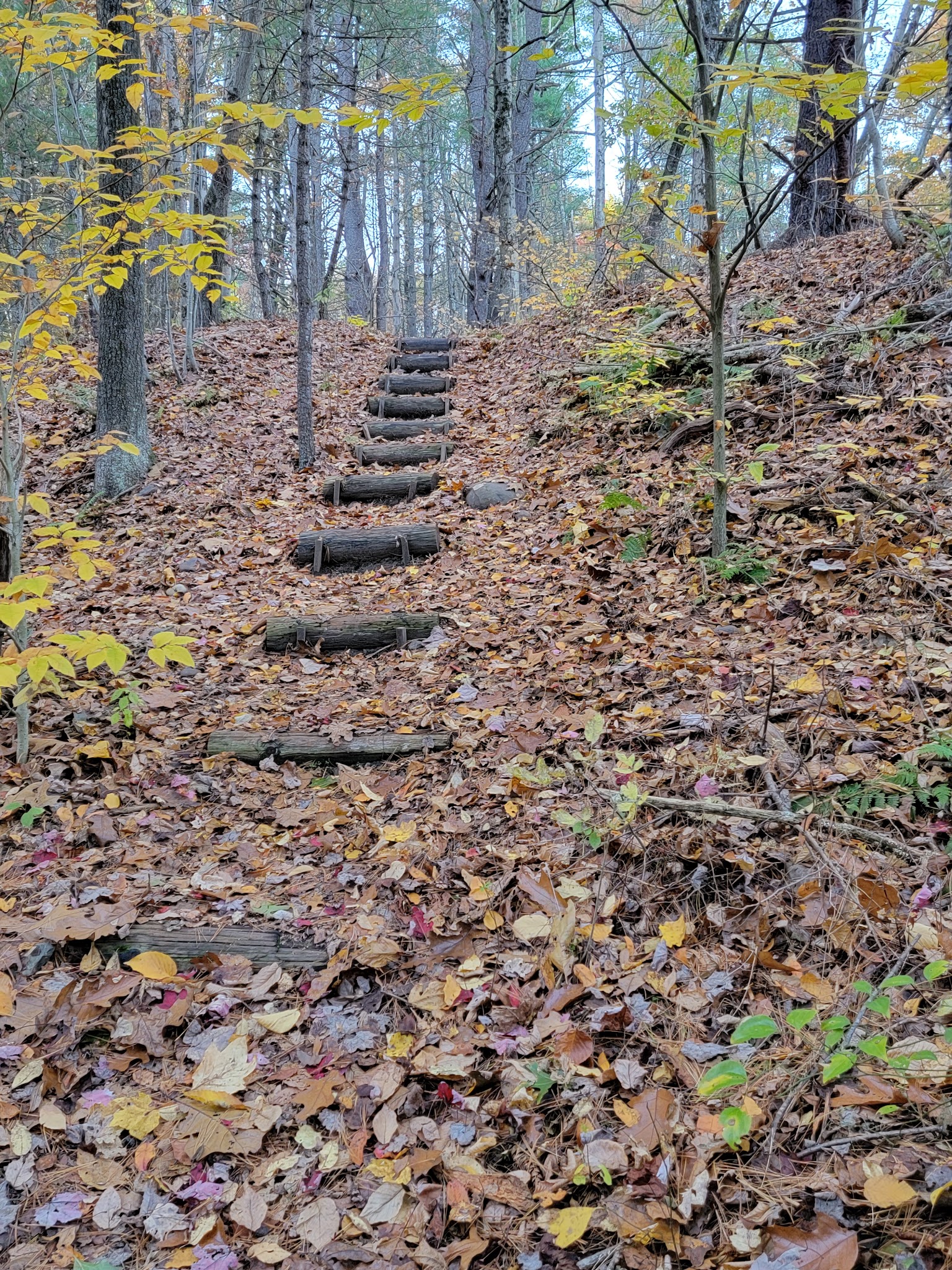 Rail Gap Pocono Creek Nature Preserve - Stroudsburg, PA