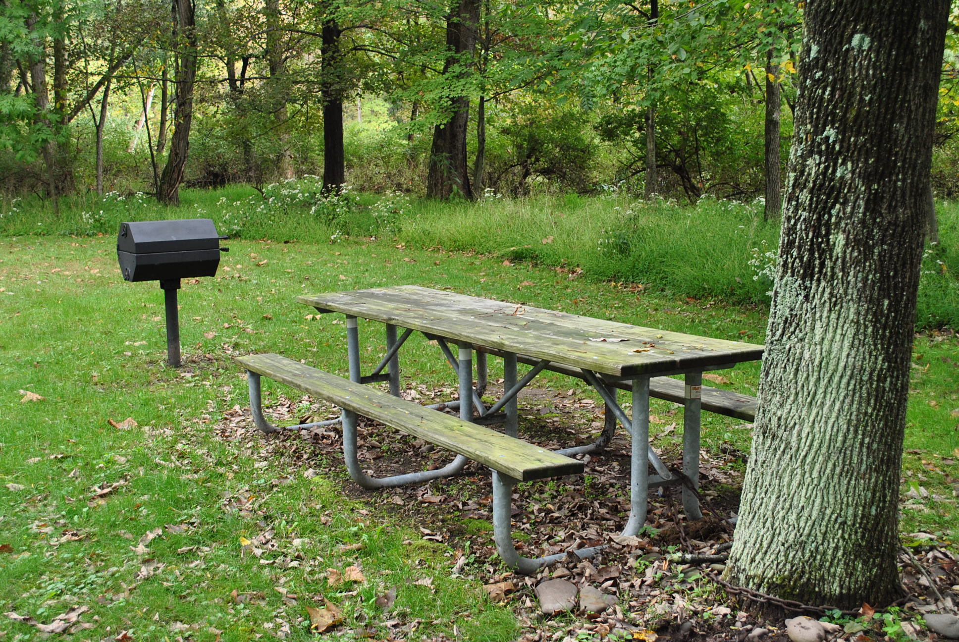 Stokes Mill Park - Stroudsburg, PA