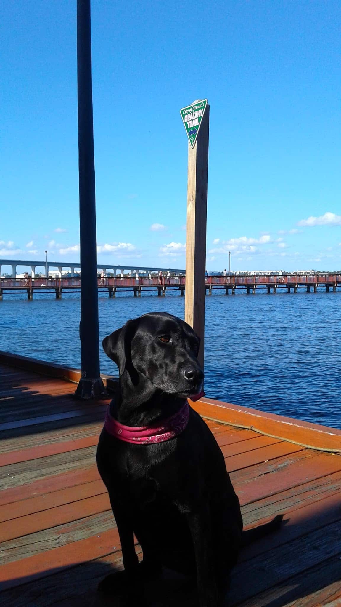 Healthy Trail - Stuart, FL