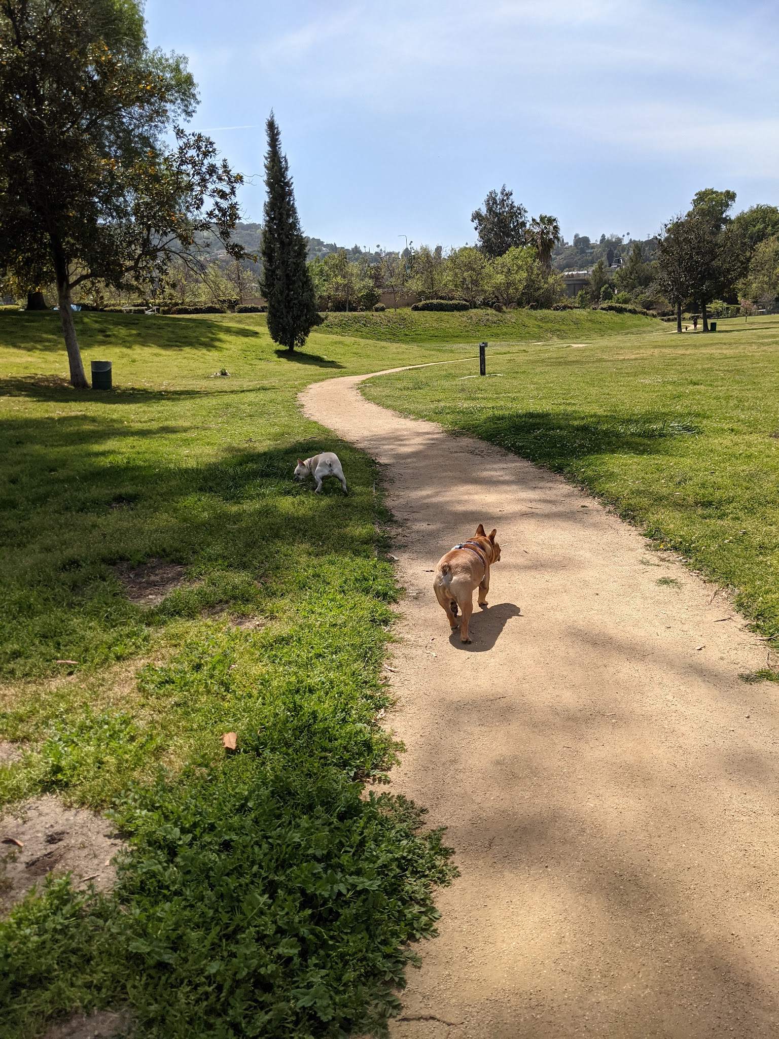 South Weddington Park - Studio City, CA