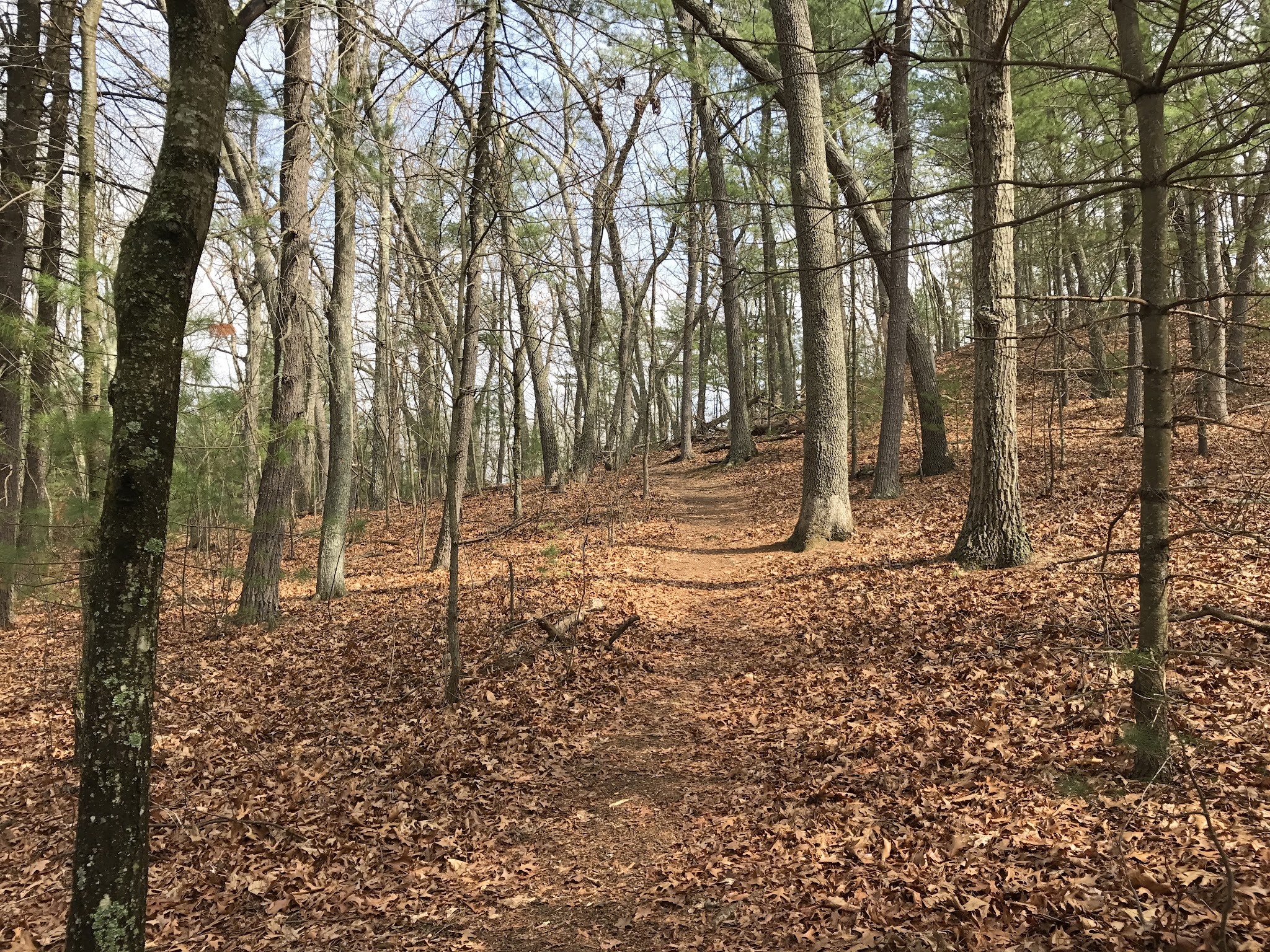 Great Meadows National Wildlife Refuge - Sudbury Unit - Sudbury, MA