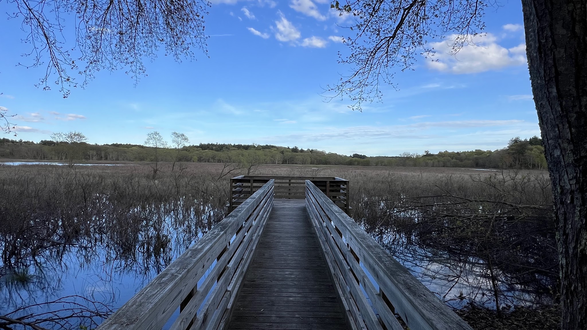 Great Meadows National Wildlife Refuge - Sudbury Unit - Sudbury, MA