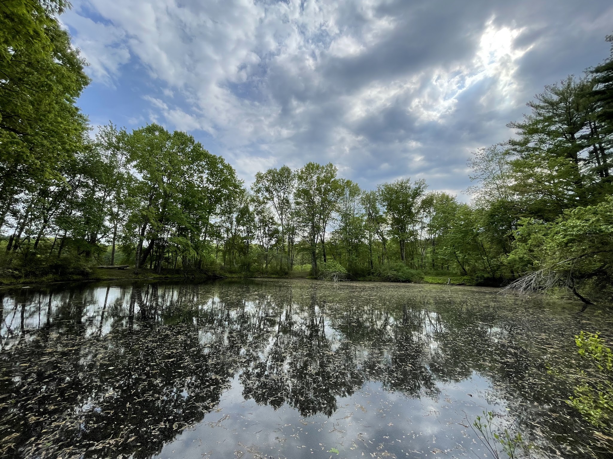 Great Meadows National Wildlife Refuge - Sudbury Unit - Sudbury, MA