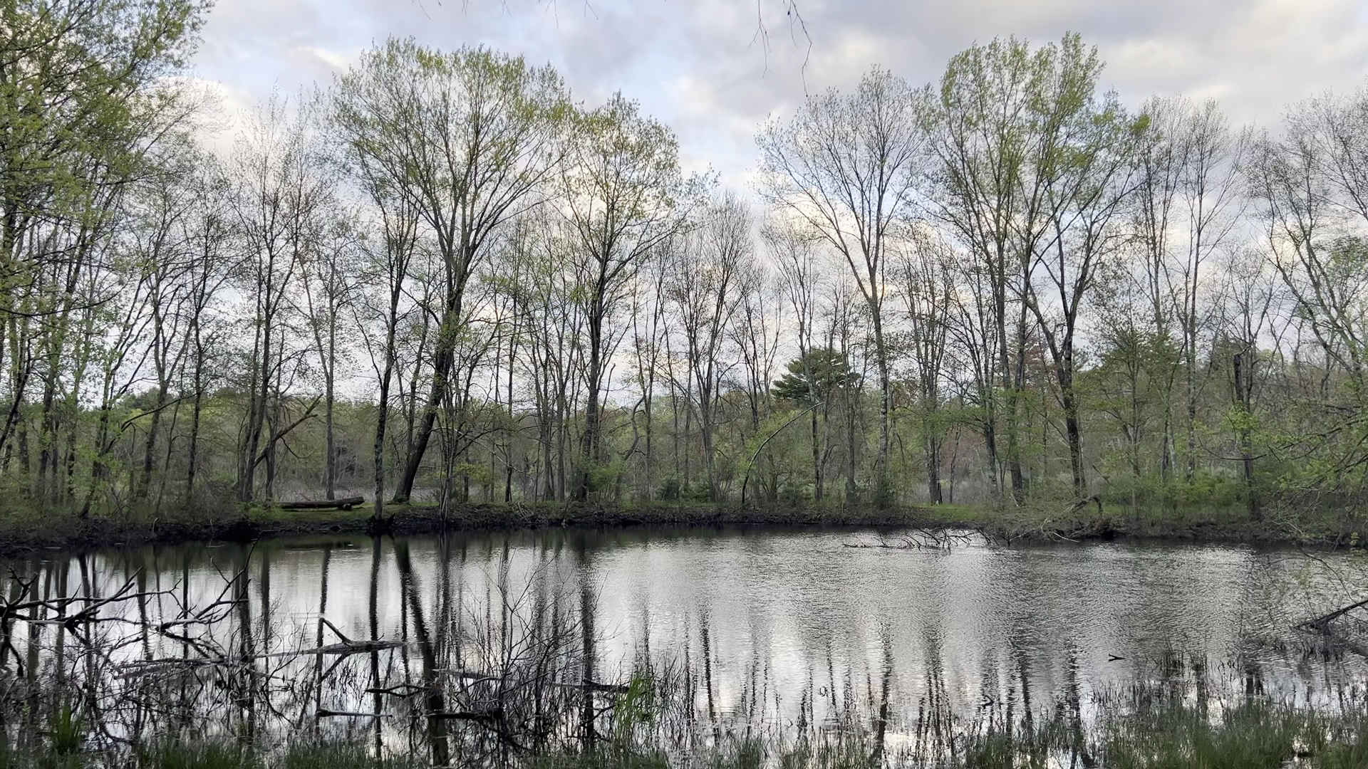 Great Meadows National Wildlife Refuge - Sudbury Unit - Sudbury, MA