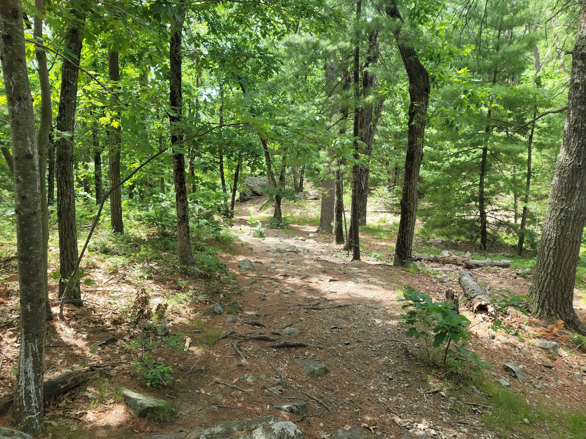 Tippling Rock - Sudbury, MA