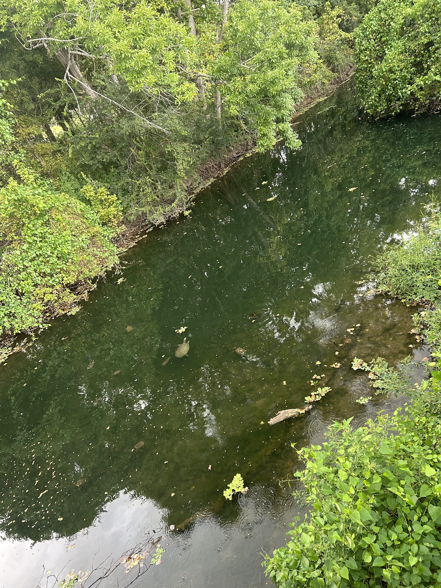 Oyster Creek Park - Sugar Land, TX