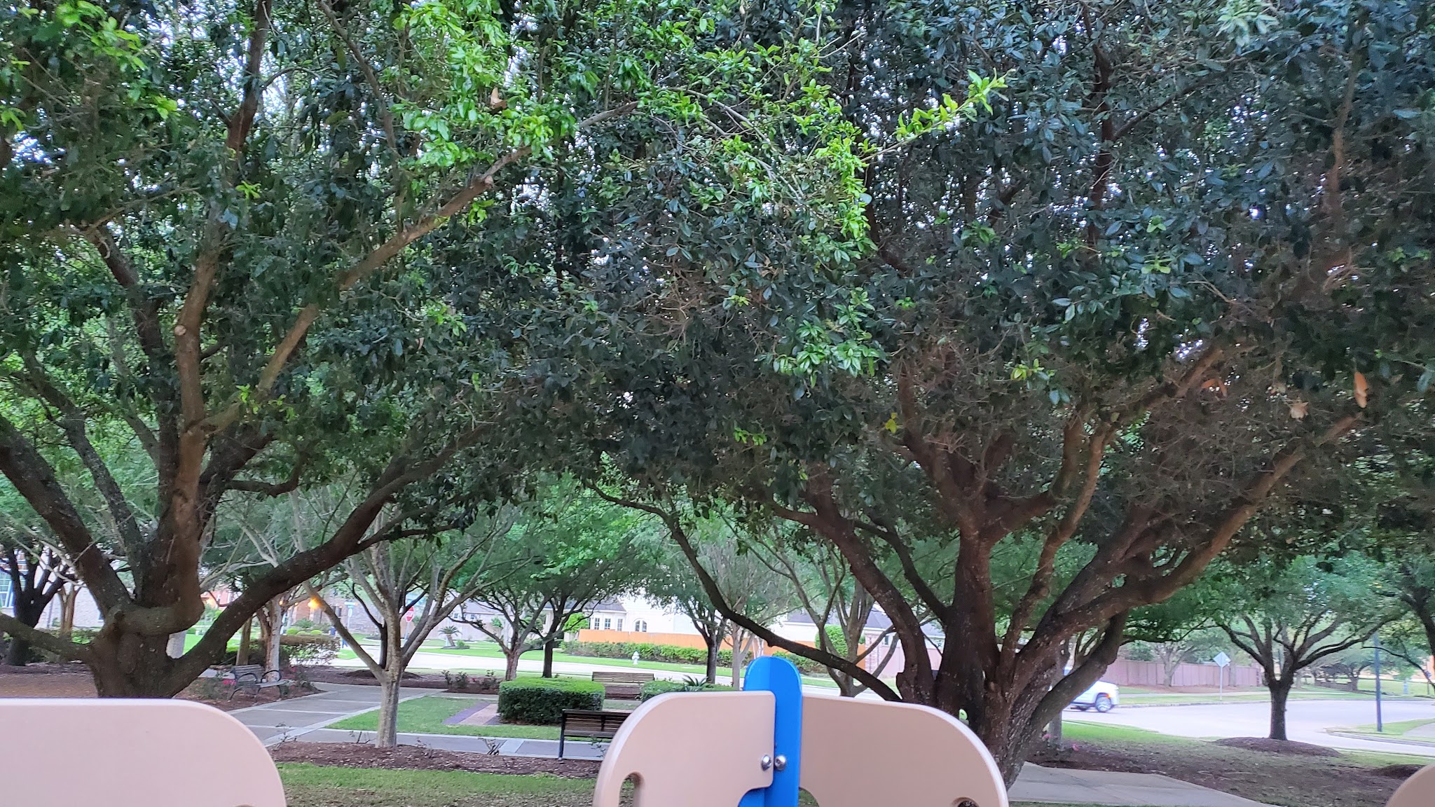 Silverthorne Park - Sugar Land, TX