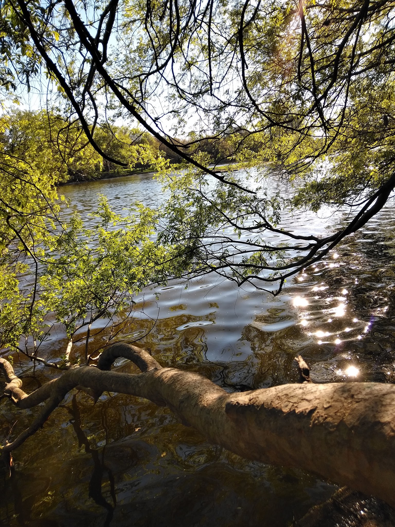 Water’s Way Park - Sugar Land, TX