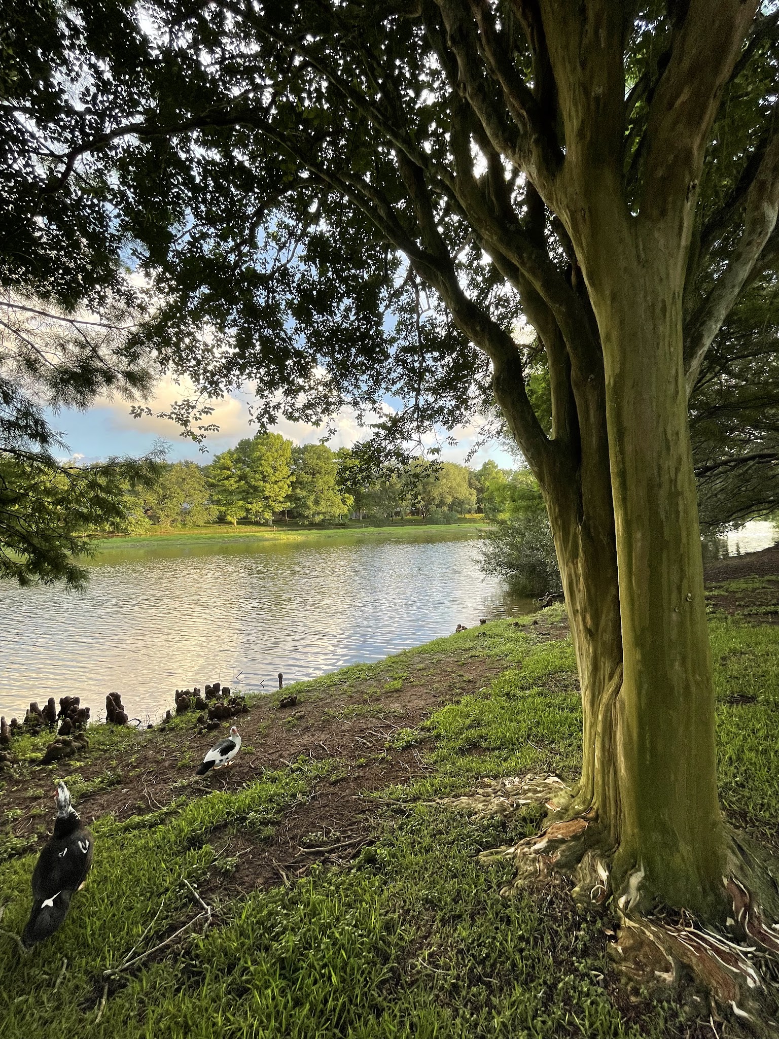 Water’s Way Park - Sugar Land, TX