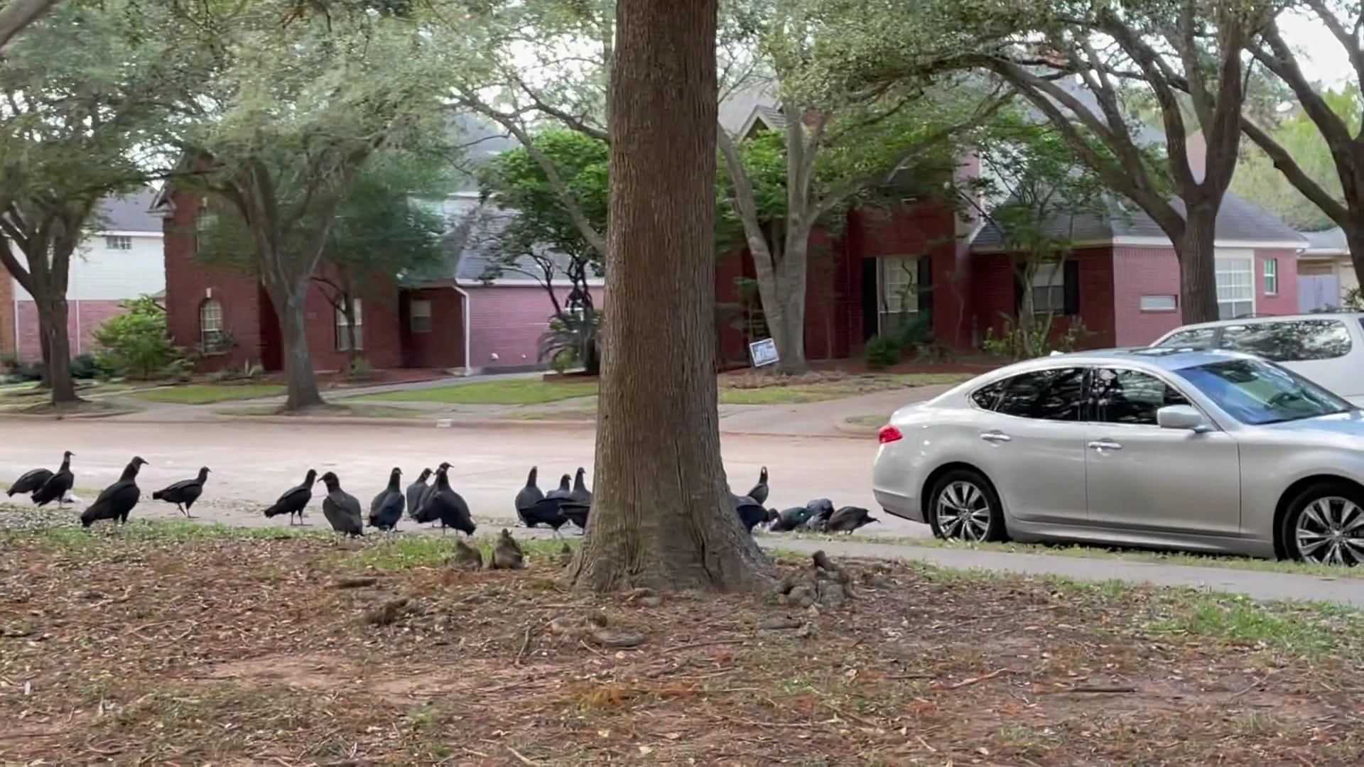 Water’s Way Park - Sugar Land, TX