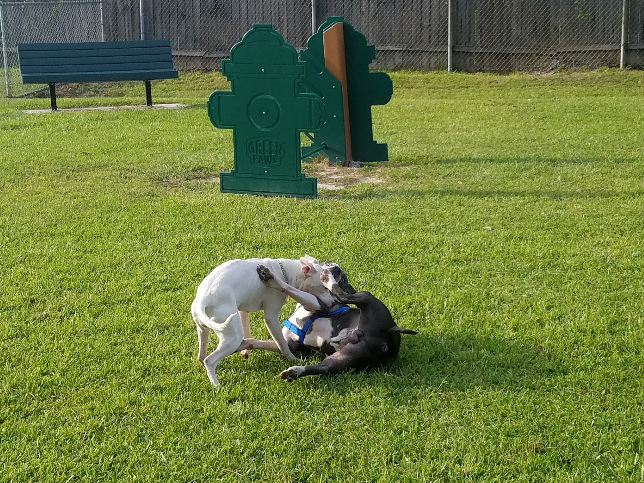 Fideaux Field - Sulphur, LA