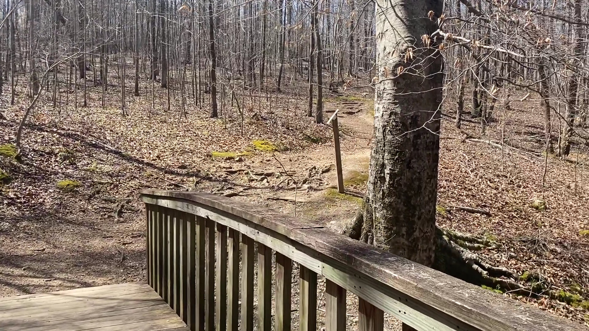 James H. "Sloppy" Floyd State Park - Summerville, GA