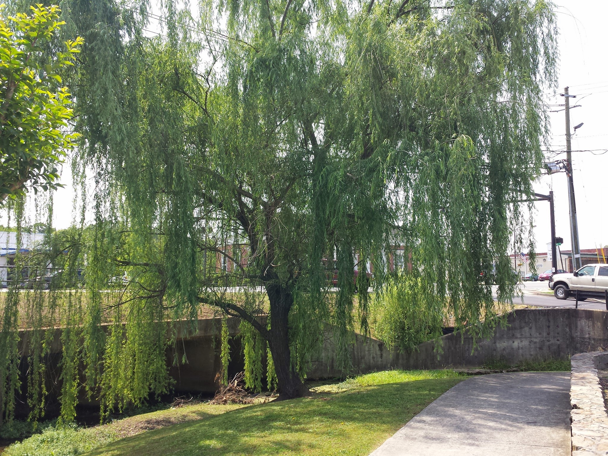 Willow Spring Park - Summerville, GA