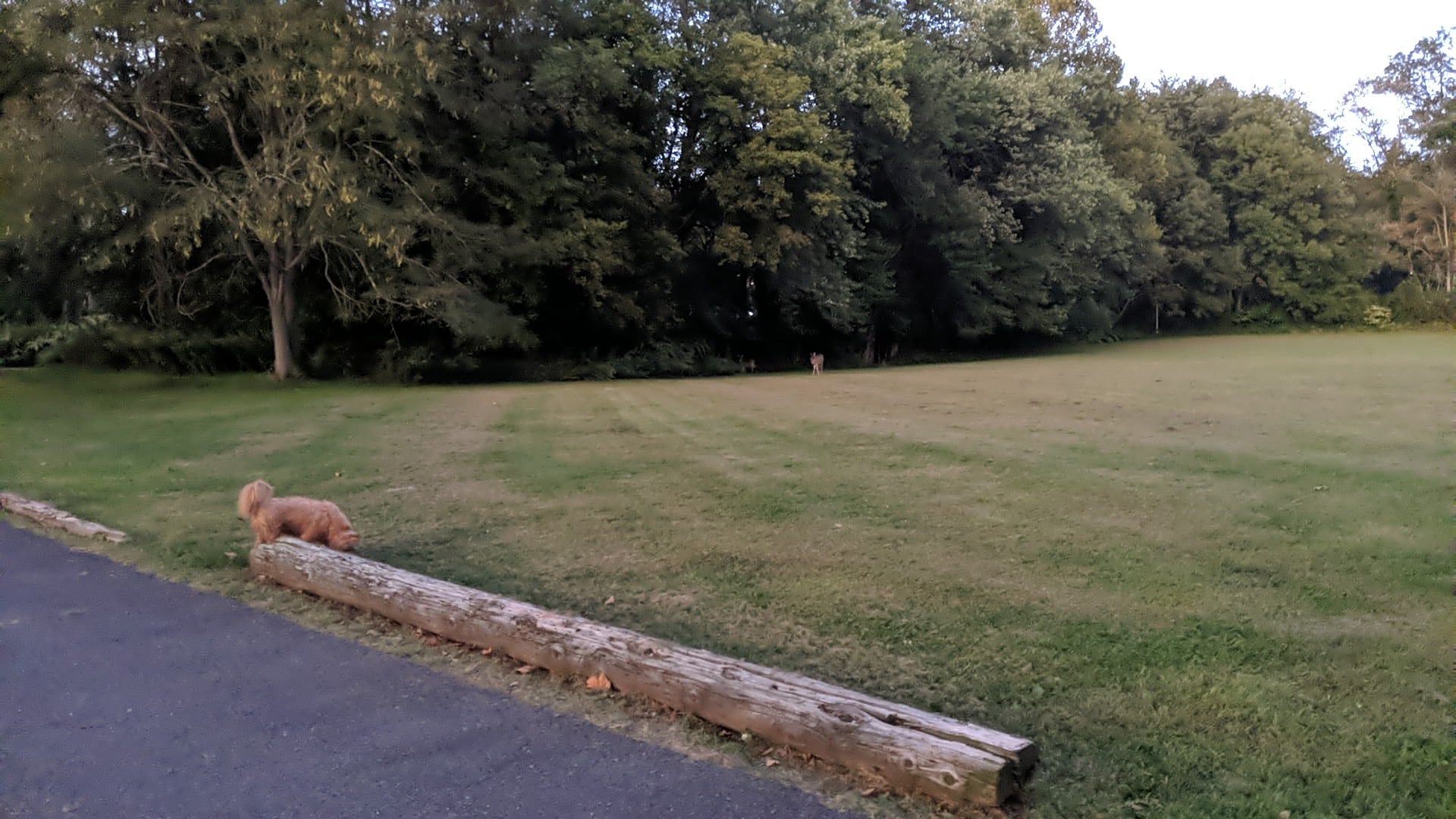 Grove Terrace Park - Summit, NJ