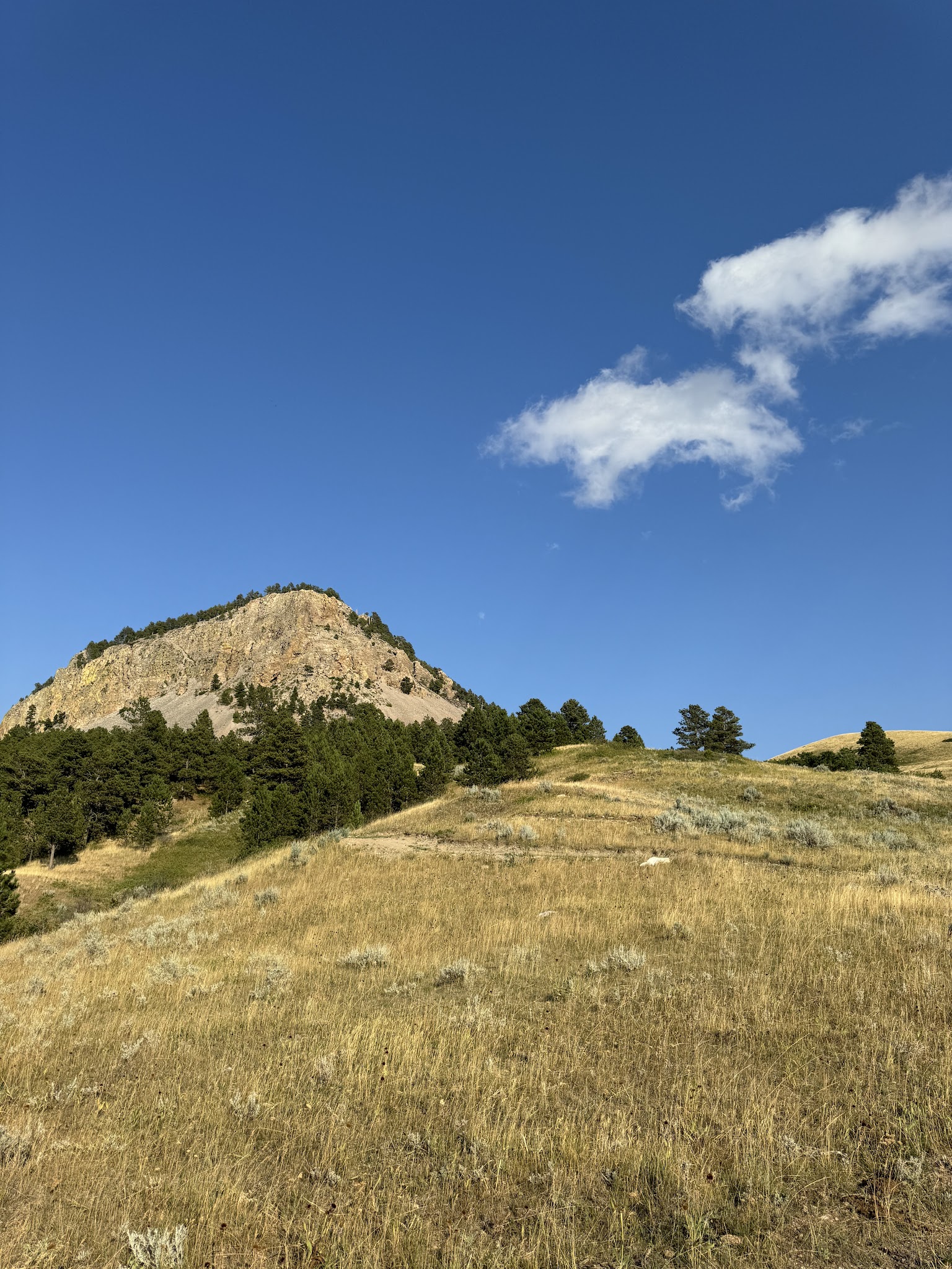 Sundance White Ranch Park - Sundance, WY