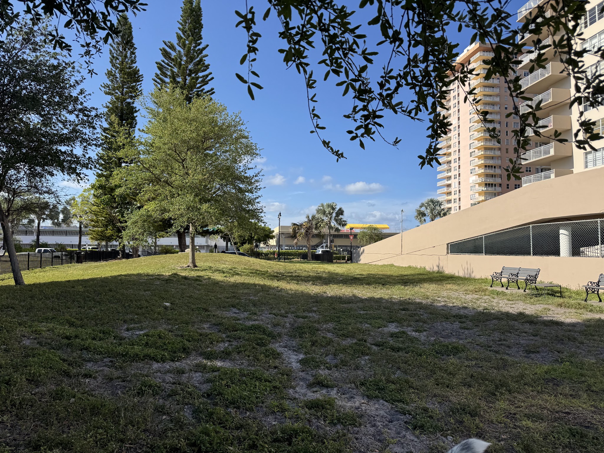Winston Towers Dog Park - Sunny Isles Beach, FL