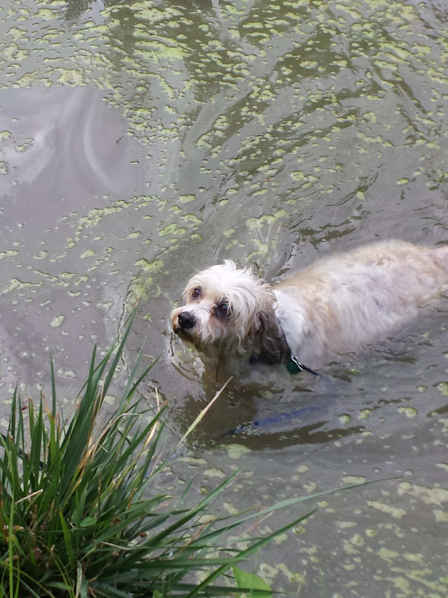 Lincoln Park Campground - Superior, NE