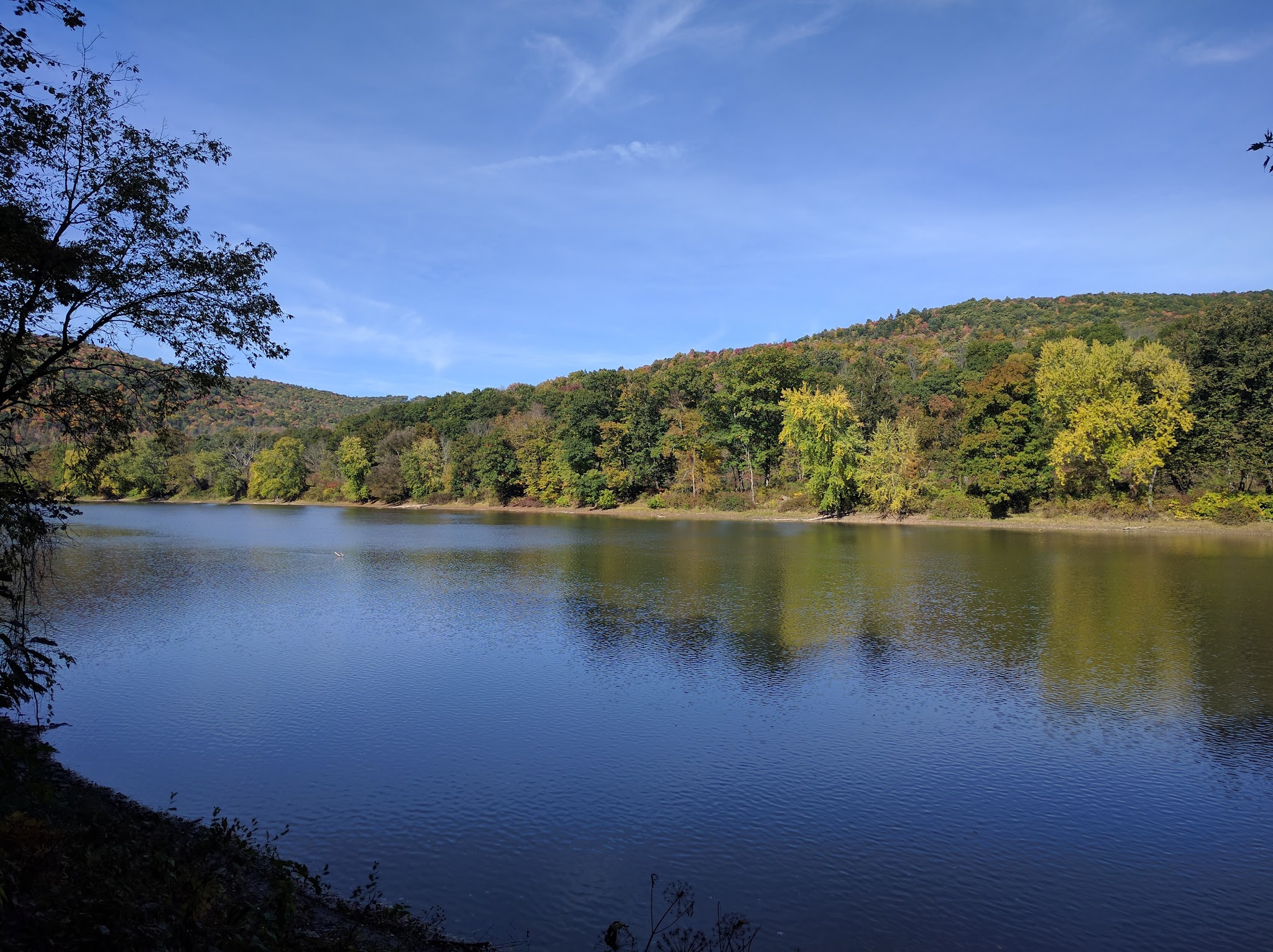 State Game Lands Number 35 - Susquehanna, PA