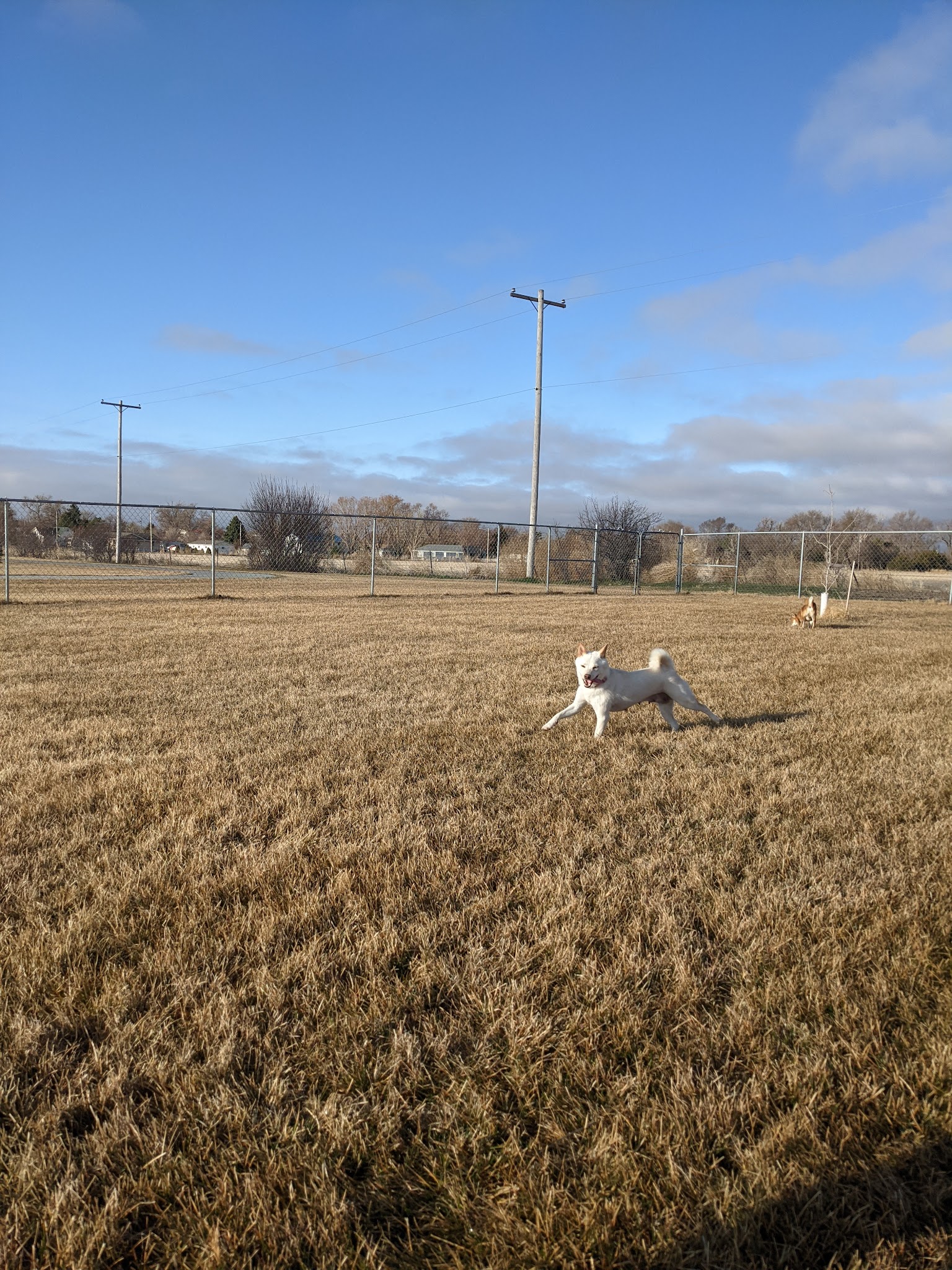Anchor Memorial Park and Dog Park - Sutherland, NE