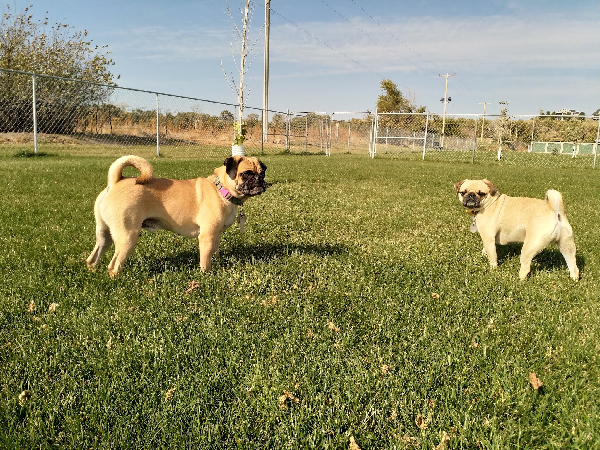 Anchor Memorial Park and Dog Park - Sutherland, NE