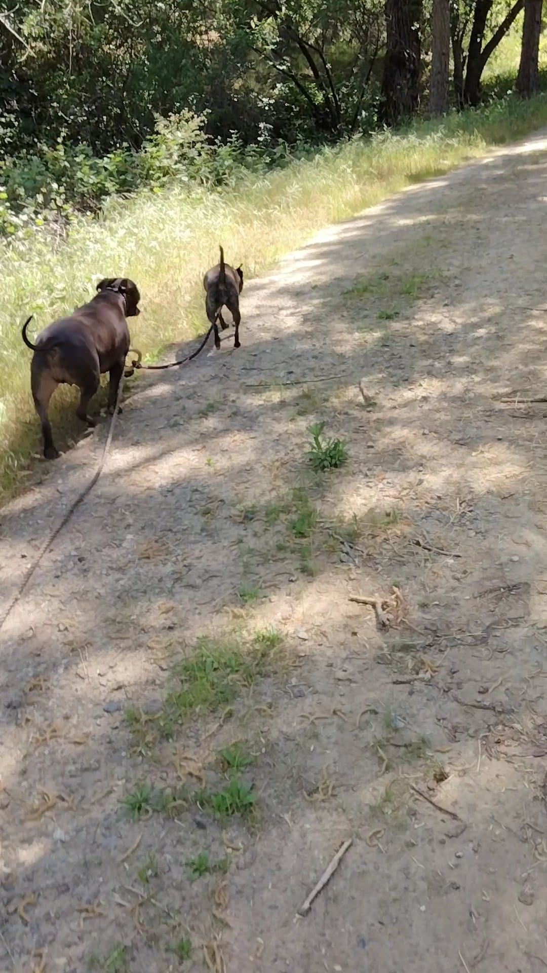 Sutter Creek Lions Park - Sutter Creek, CA