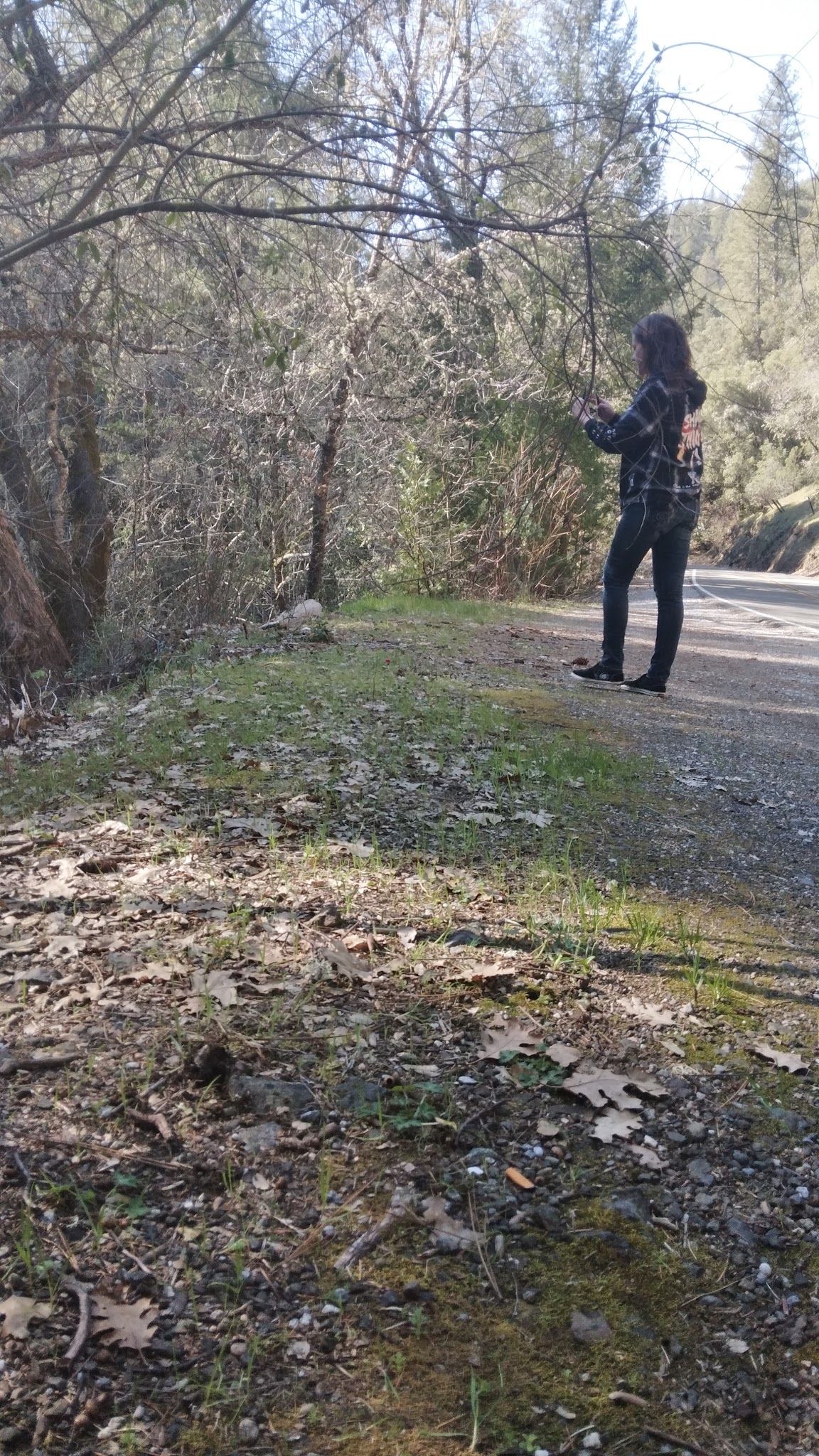 Sutter Creek Lions Park - Sutter Creek, CA