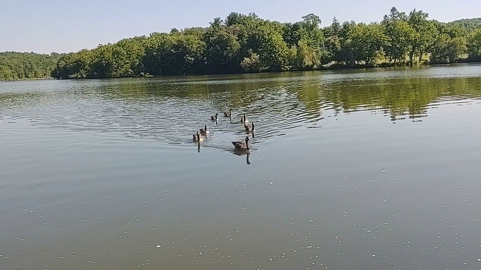 Swan Lake Park - Swan Lake, NY