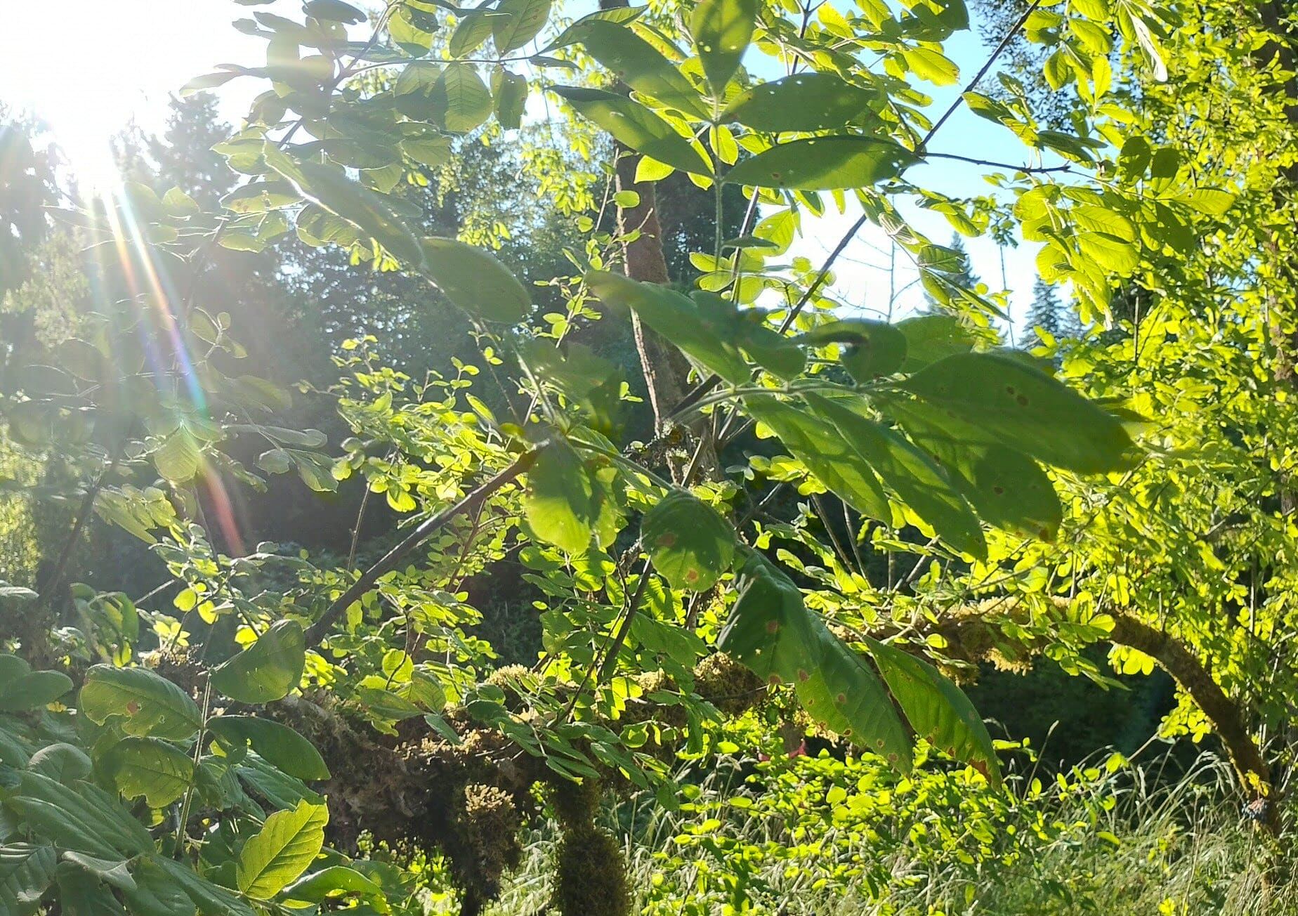 Quarry park - Sweet Home, OR