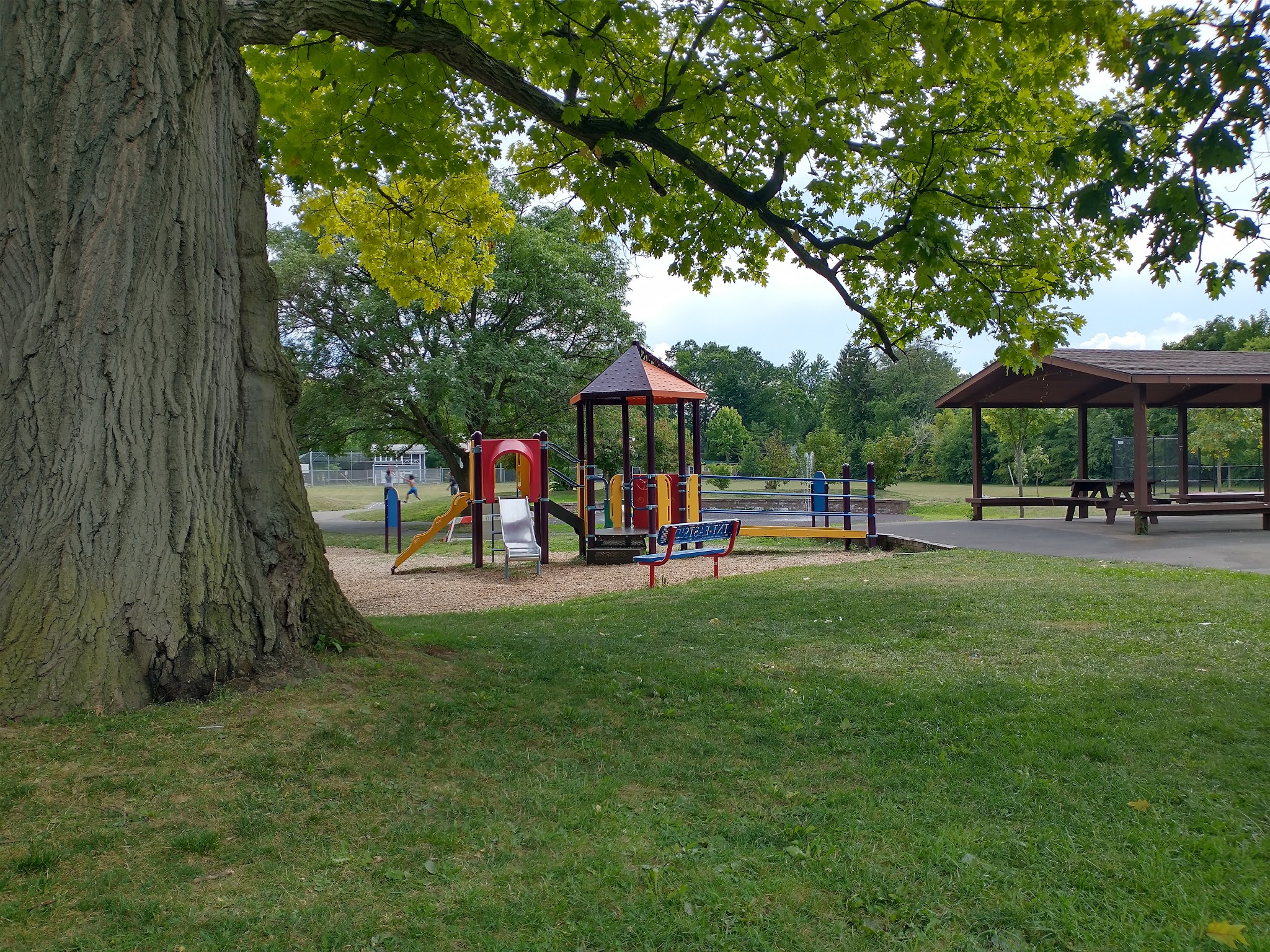 Comfort Tyler Park - Syracuse, NY