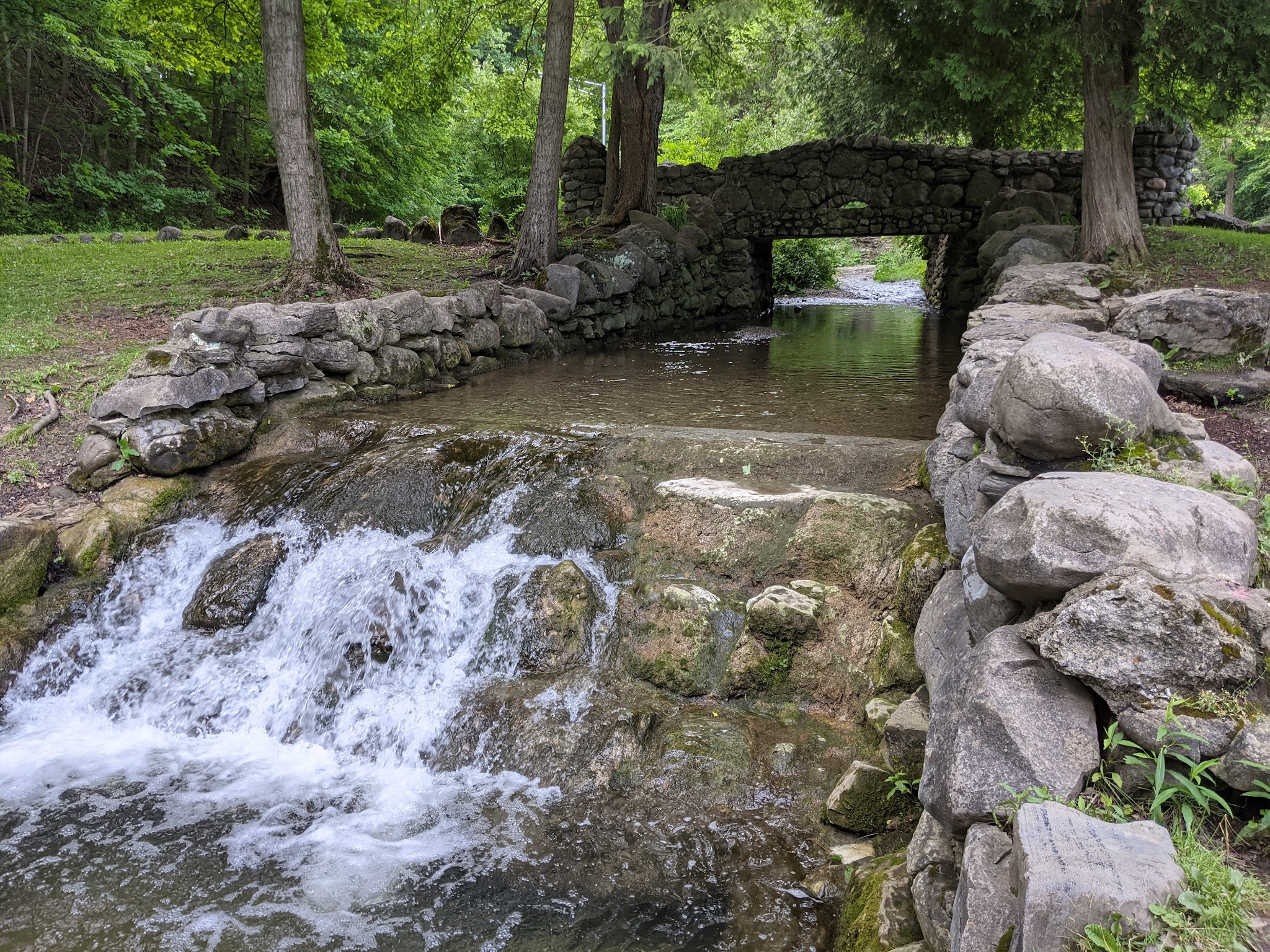 Elmwood Park - Syracuse, NY