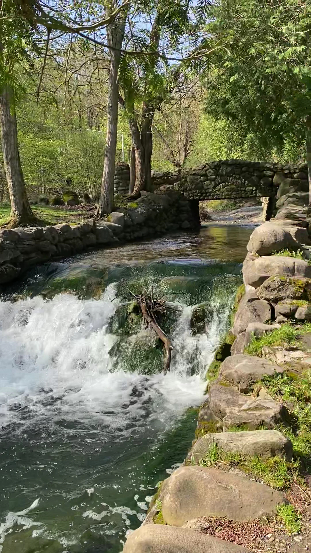 Elmwood Park - Syracuse, NY