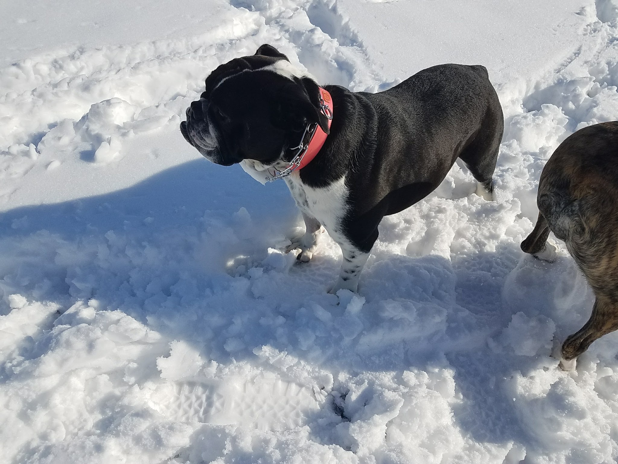 Primrose Park - Syracuse, NY