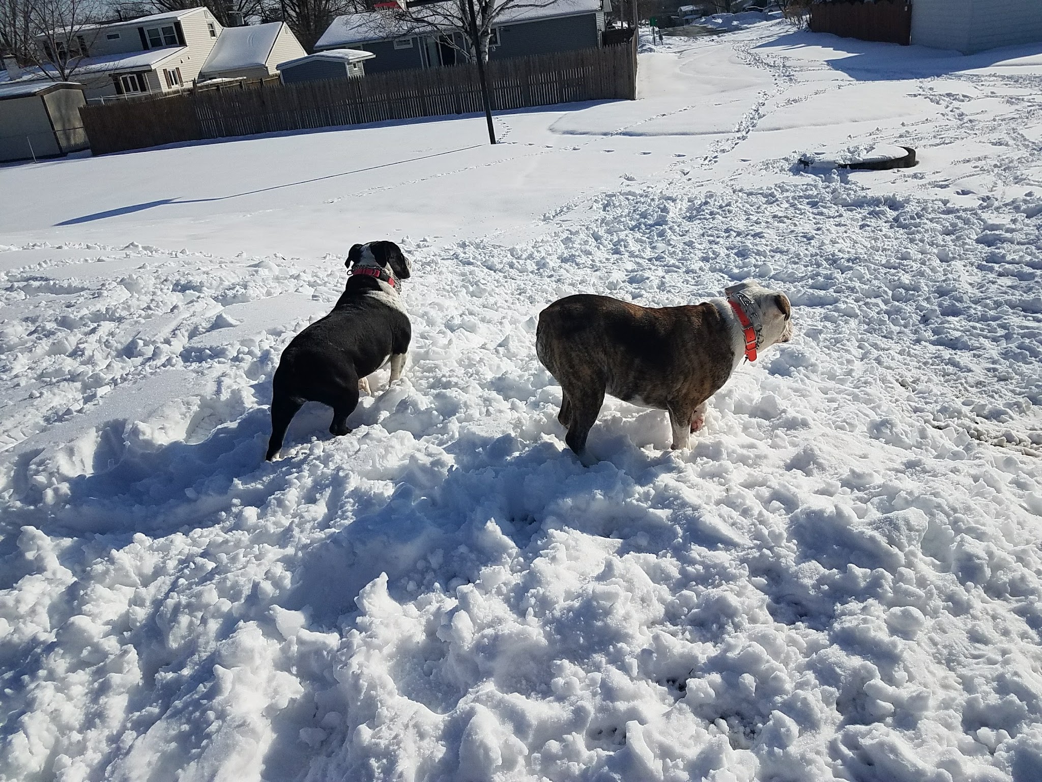 Primrose Park - Syracuse, NY