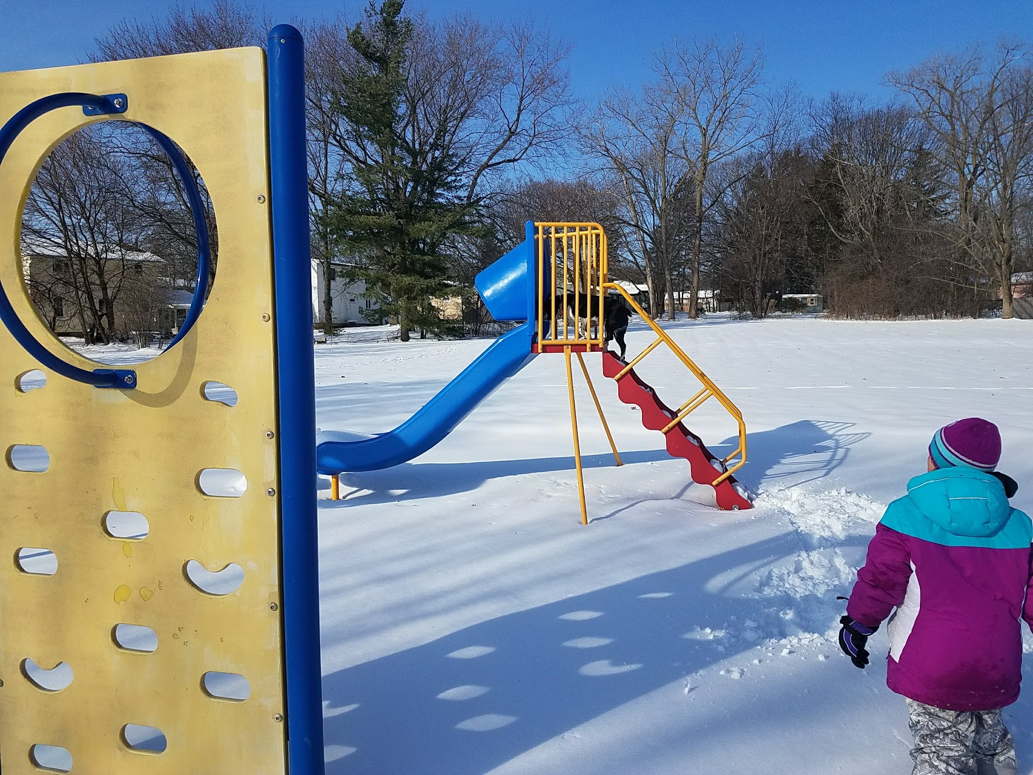 Primrose Park - Syracuse, NY