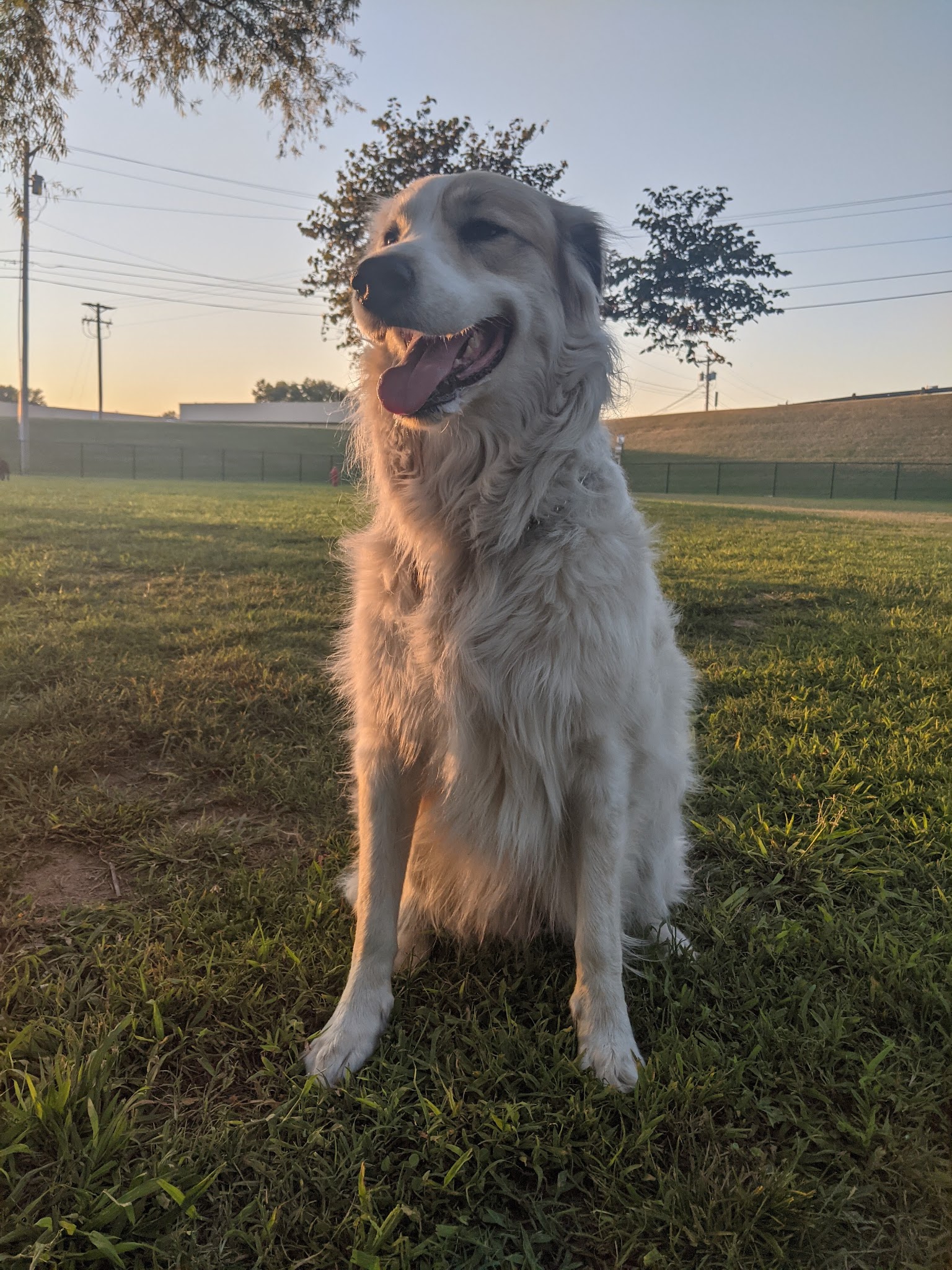Tahlequah Tails Dog Park - Tahlequah, OK