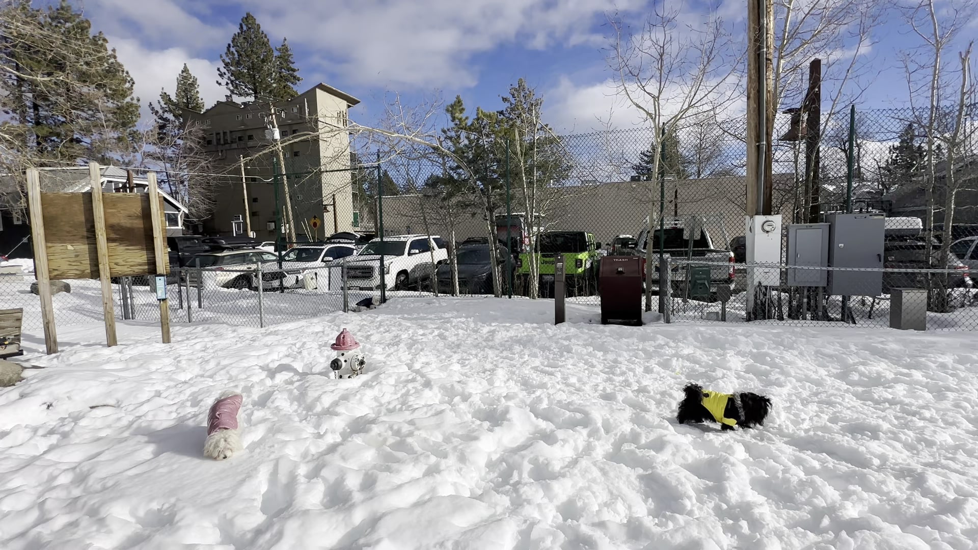Tahoe City Dog Park - Tahoe City, CA