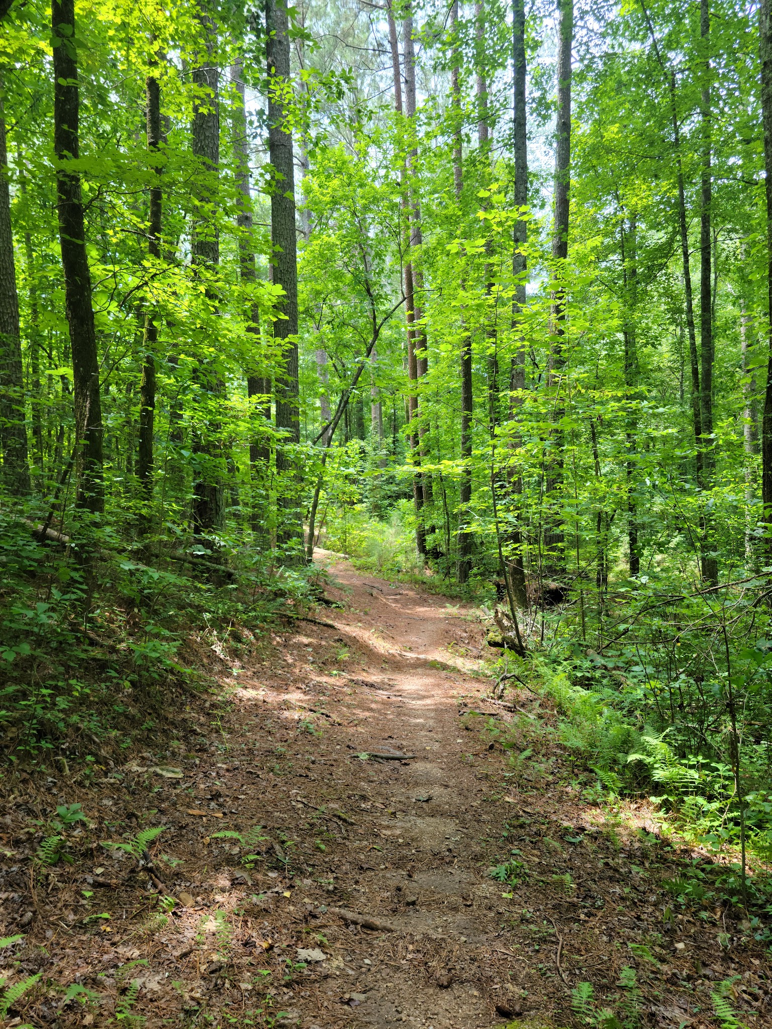 Talking Rock Nature Park - Talking Rock, GA
