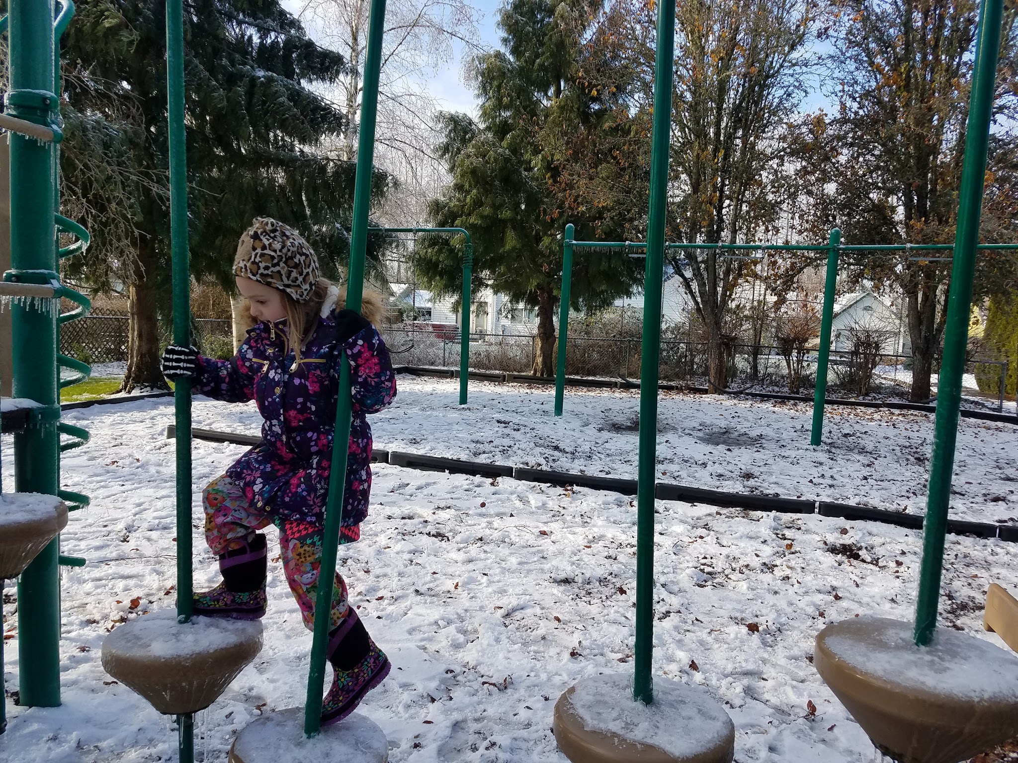 Pioneer Park - Tangent, OR