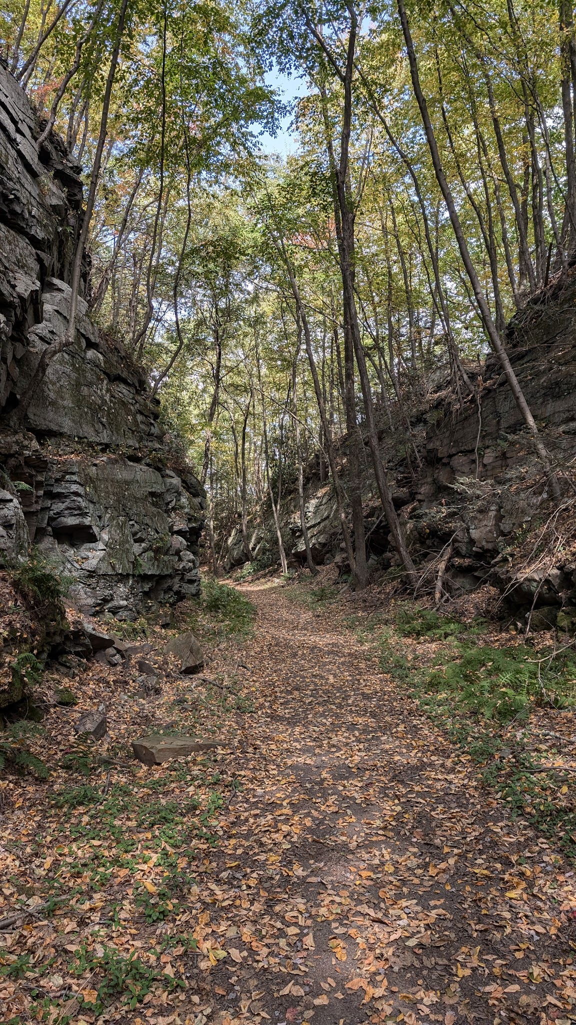 Big Pocono State Park - Tannersville, PA