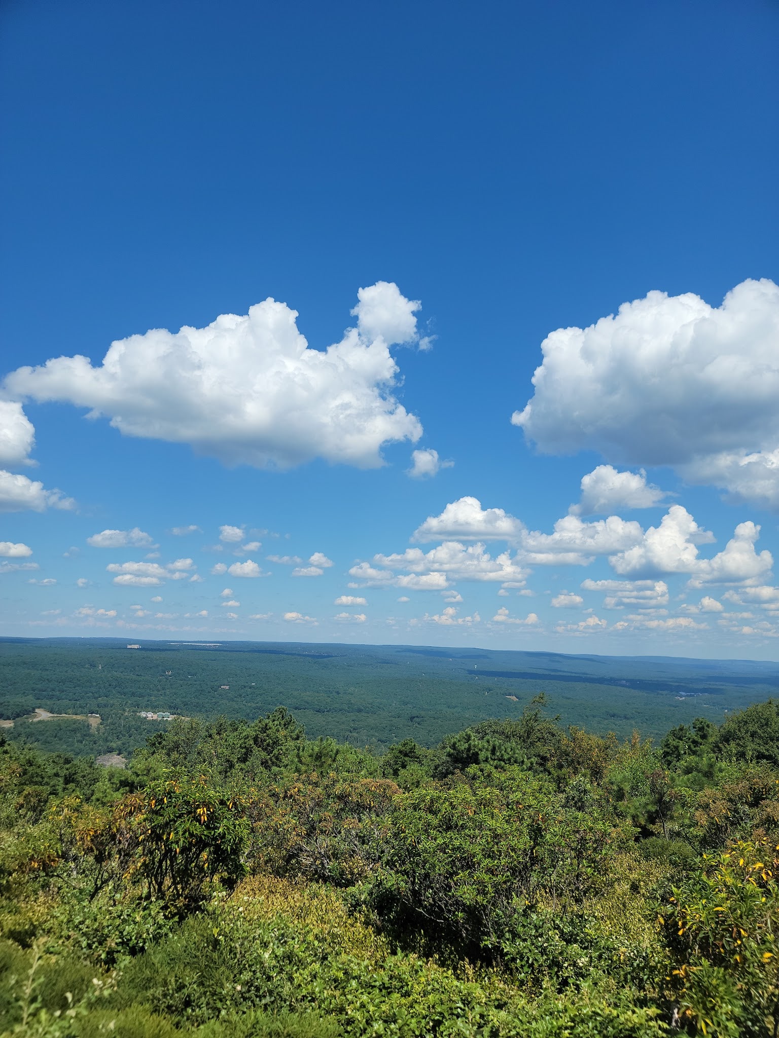 Big Pocono State Park - Tannersville, PA