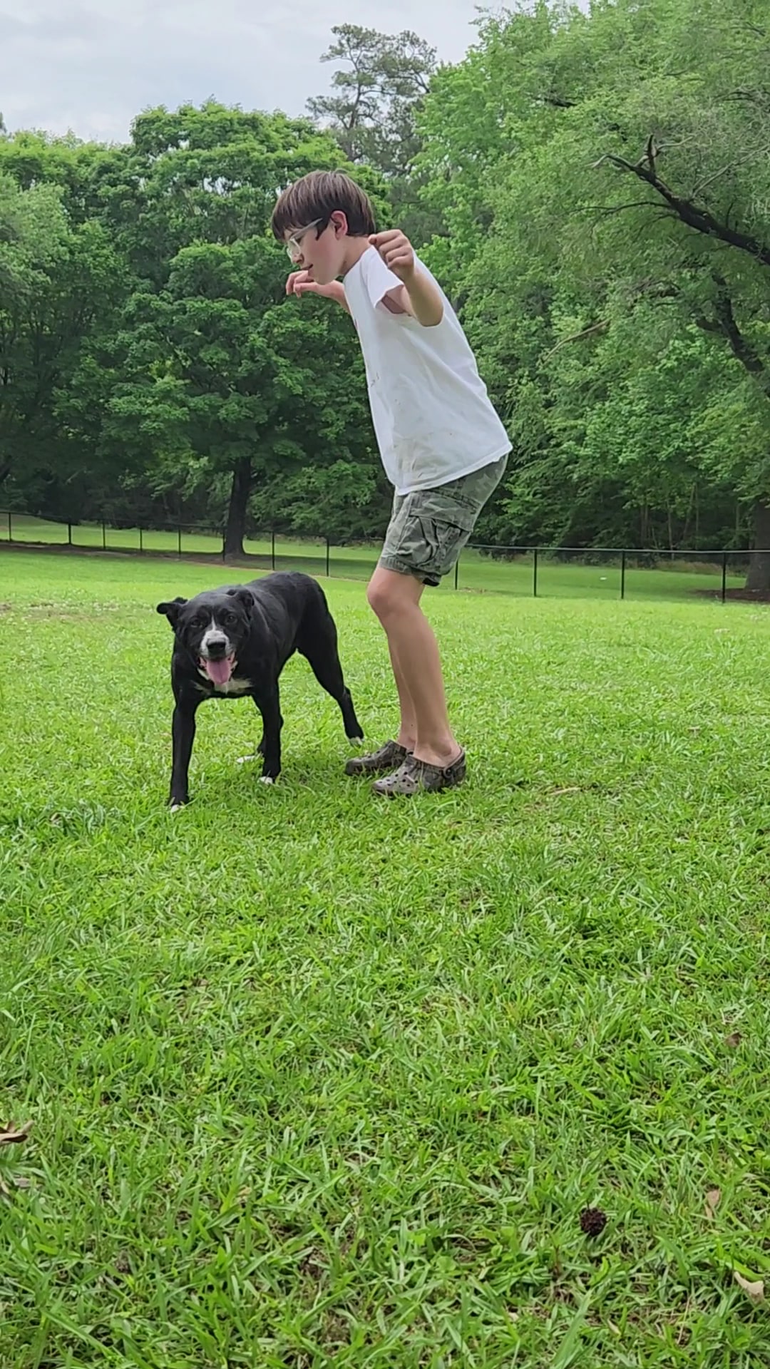 Tarboro Bark Park - Tarboro, NC