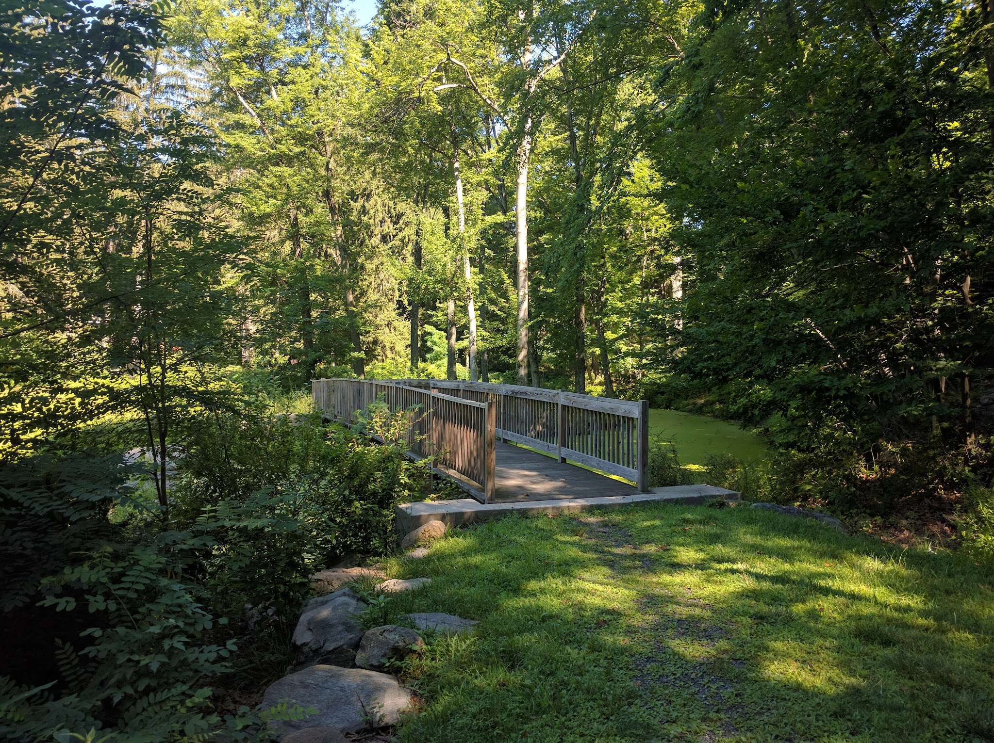 Glenville Woods Park Preserve - Tarrytown, NY