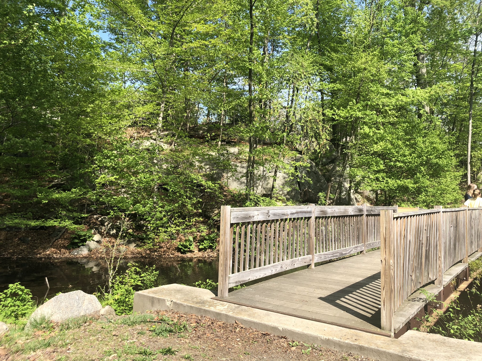 Glenville Woods Park Preserve - Tarrytown, NY