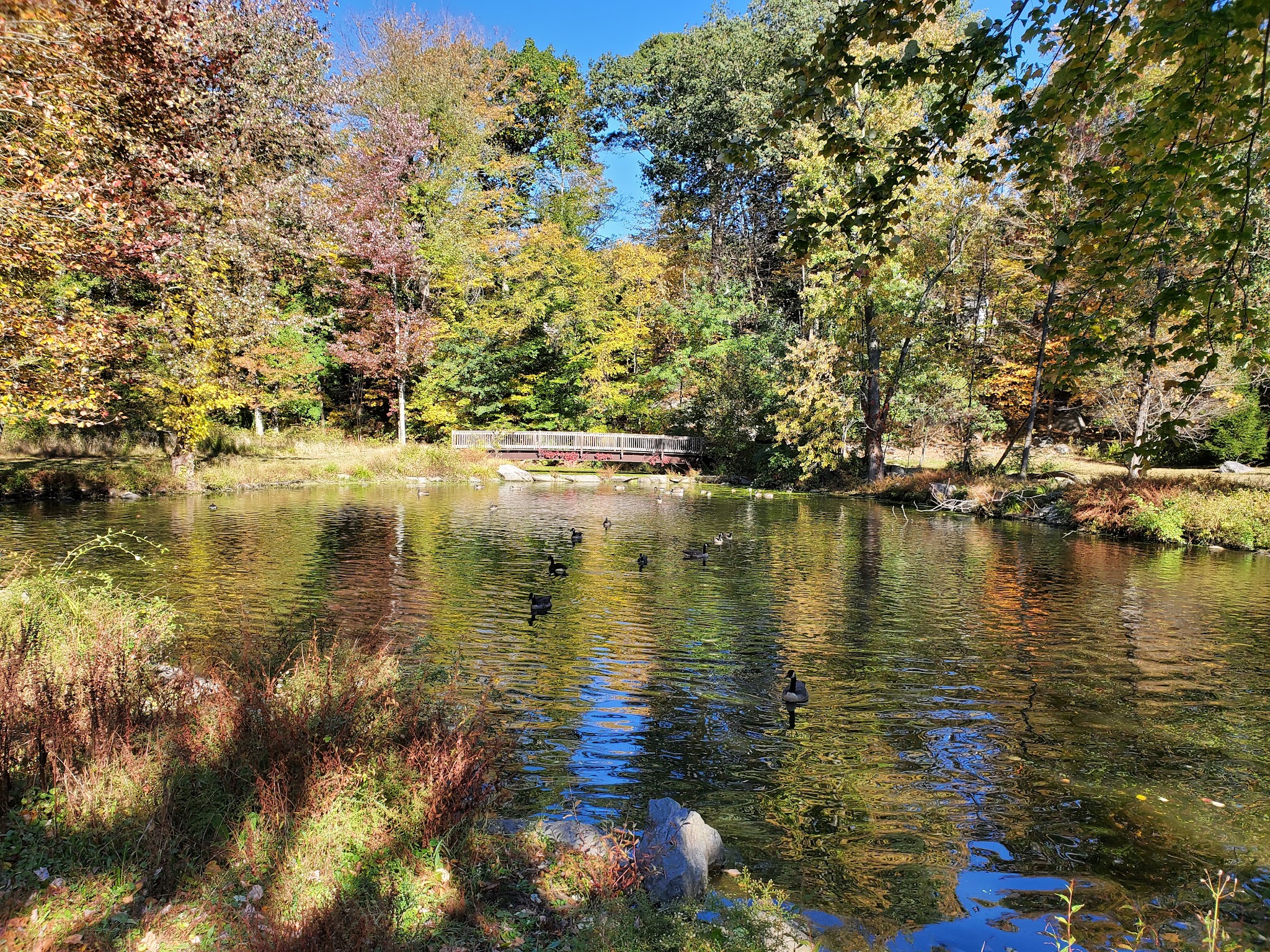 Glenville Woods Park Preserve - Tarrytown, NY